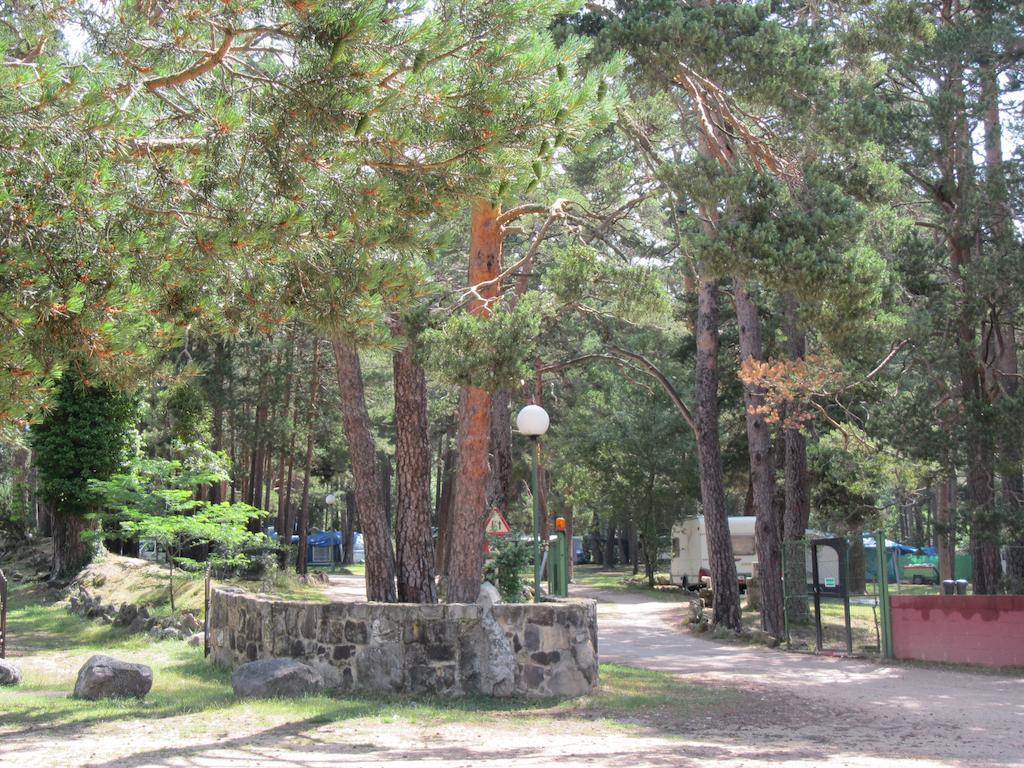 Camping Cobijo Vinuesa Zewnętrze zdjęcie